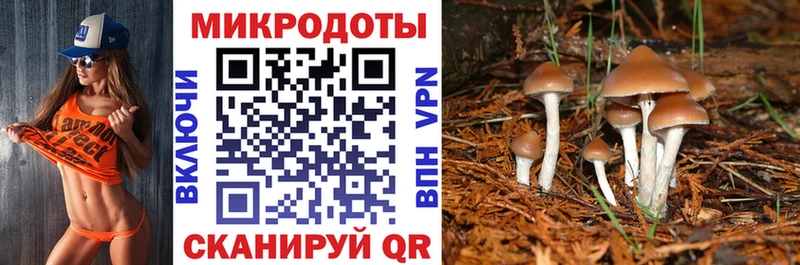 Купить закладки  Холмск  Псилоцибиновые грибы ЛСД 